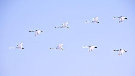 索尼高管谈《星鸣特攻》失败：会继续专注在线服务游戏